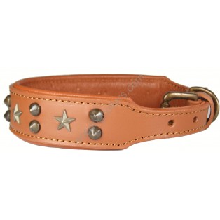Padded LEATHER DOG COLLAR  : Tan with stars